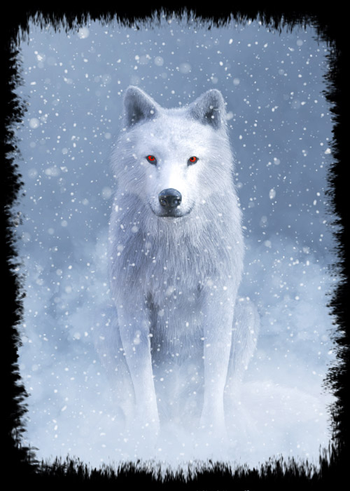 Albino Wolf